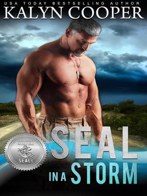 cover image of SEAL in a Storm
